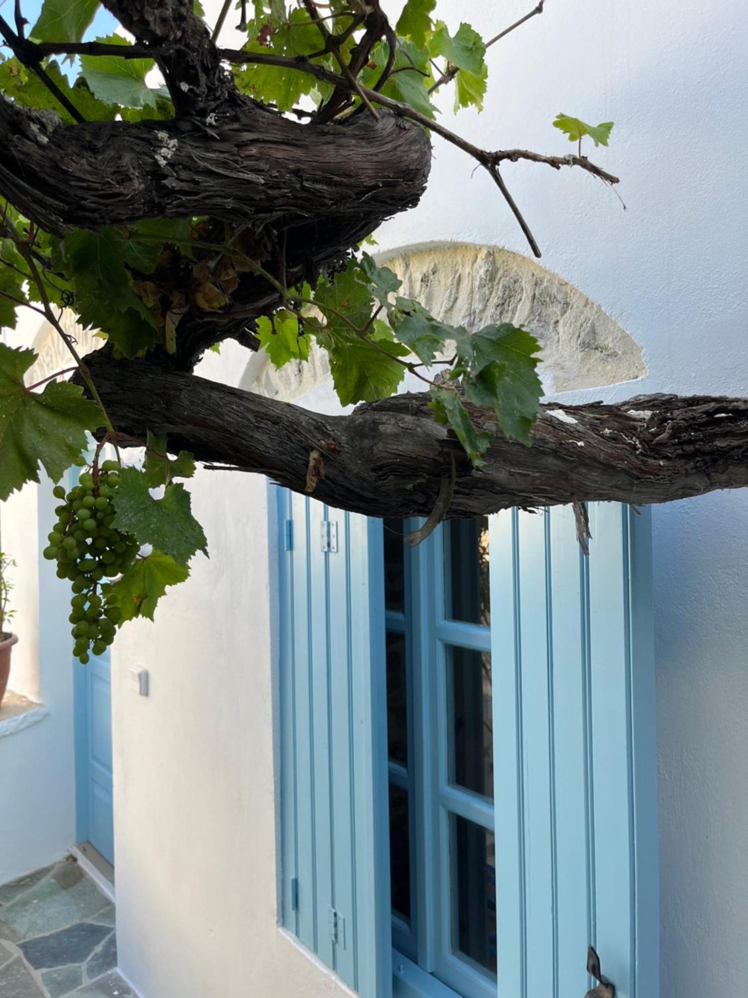 Dream House Little Villa - Amorgos Exterior foto