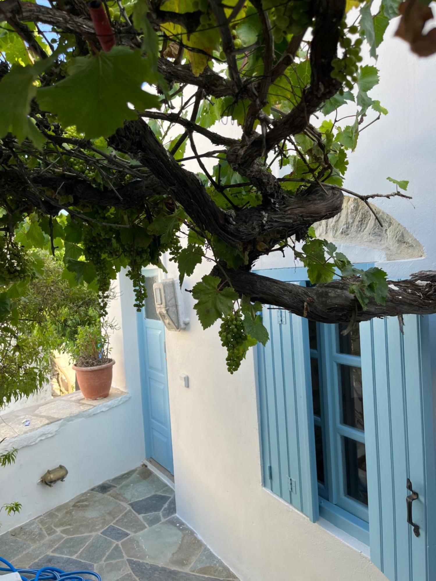 Dream House Little Villa - Amorgos Exterior foto